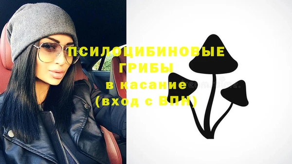 эйфоретик Аркадак