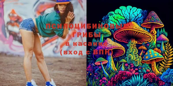 мет Арсеньев