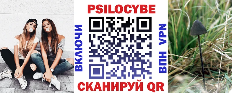 купить наркоту  мориарти как зайти  Псилоцибиновые грибы Cubensis  Магас 