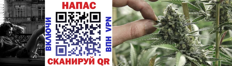 Каннабис индика  omg сайт  Магас  хочу наркоту 